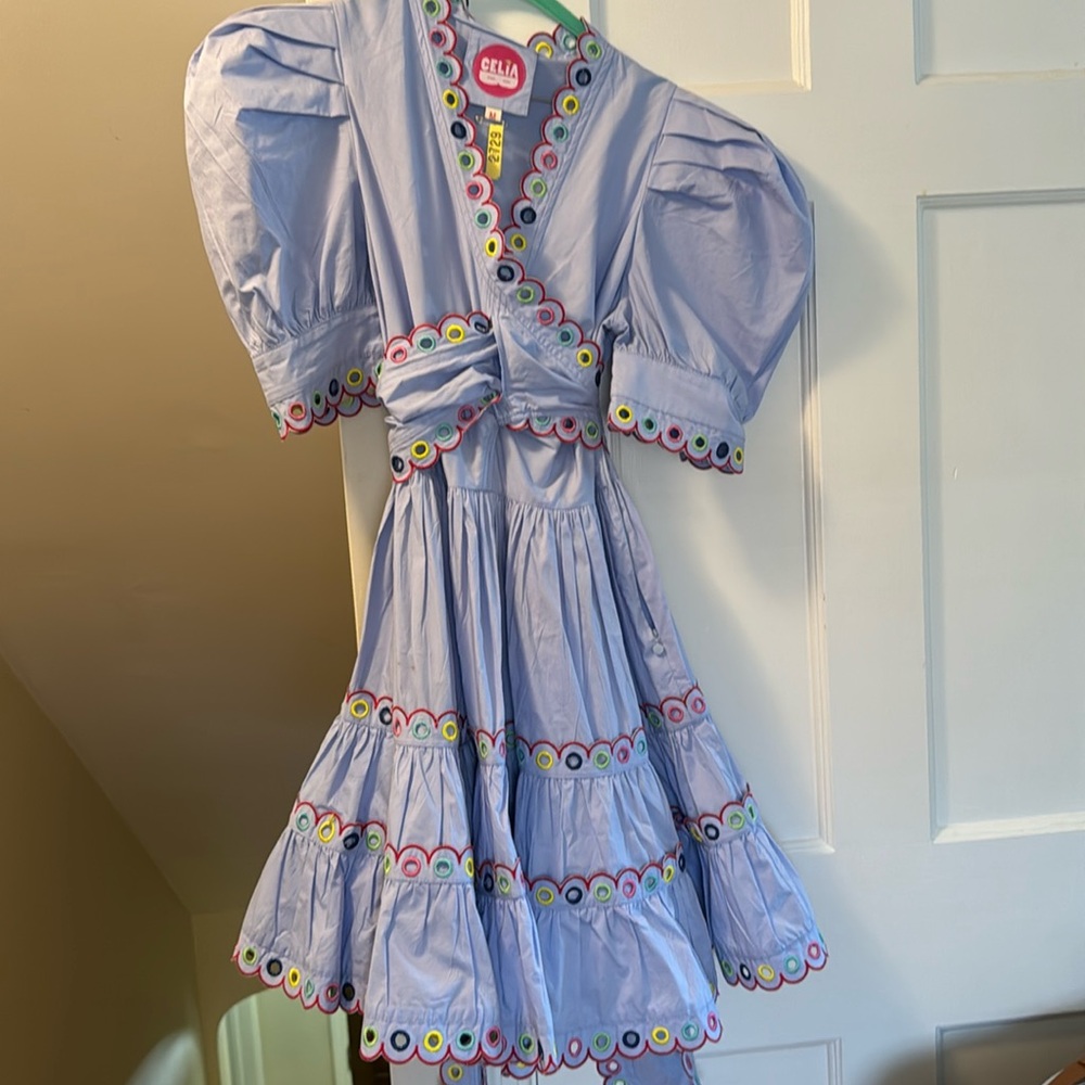 Celia B dress